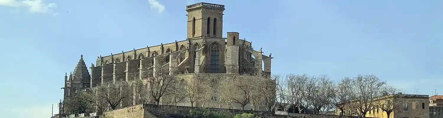 Imagen de la Basílica Santa María de La Seu de Manresa desde lejos.